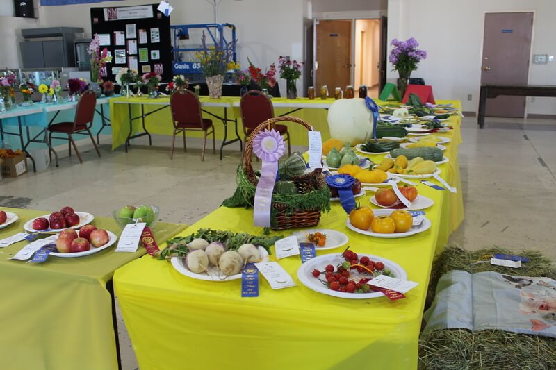 Fruit and Veg. Dept. '23 Entries and Ribbon Winners-Taos County Fair-Juan I. Gonzales Agricultural Center-Taos, NM